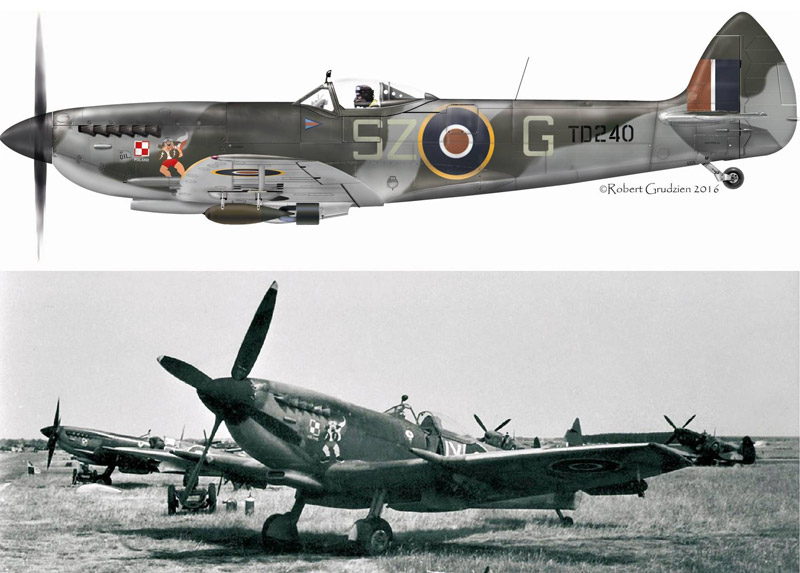 In 2018 BBMF Spitfire Mk XVI TE311 will appear as Gp Capt Aleksander Gabszewicz’s TD240, ‘SZ-G’ with its boxing dog nose art