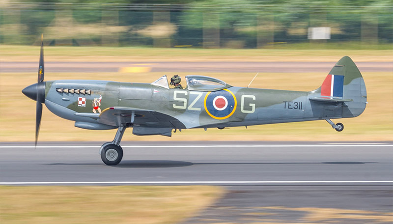 Spitfire Mk XVI TE311 with ‘boxing dog’ motif