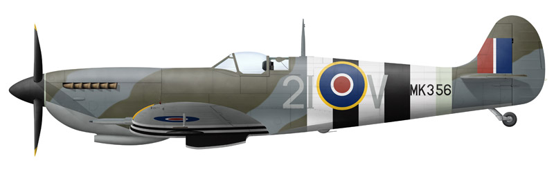 Spitfire MK356 as it appeared on D-Day with the 443 Sqn code letters ‘2I-V’ (Artwork: Chris Sandham-Bailey inkworm.com)